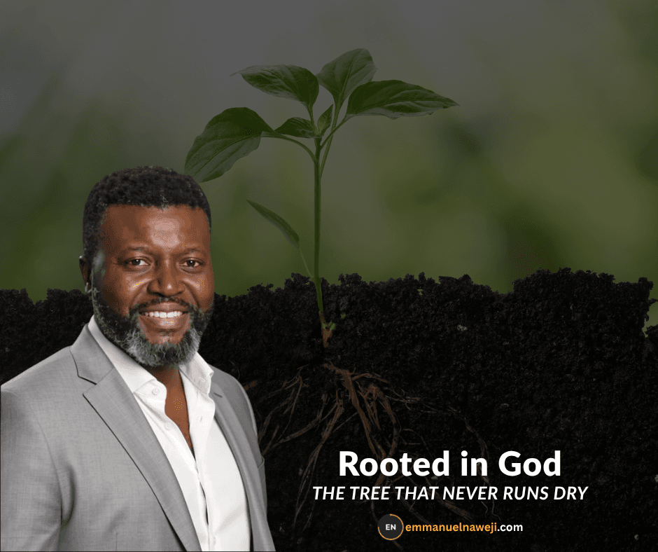 Rooted in God: The Tree That Never Runs Dry